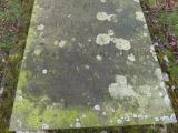 image of grave number 559185